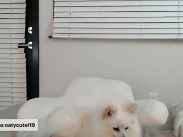 webcam girl _natycutei19 image #4637562