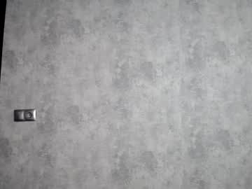 webcam girl nika_lodge image #2764060