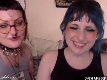 webcam girl haylihaze image #148308