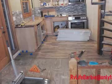 webcam girl rvlifebarbie image #3363288