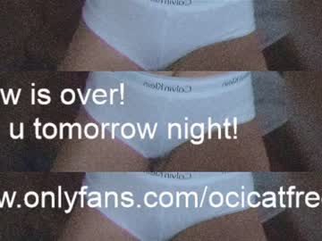 webcam girl ocicat image #3571186