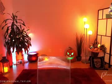 webcam girl phoenix_taylor image #5591098