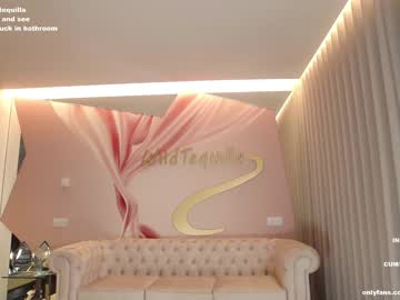 webcam girl wildtequilla image #4848906