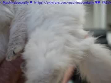 webcam man machinebumkelly image #1935226