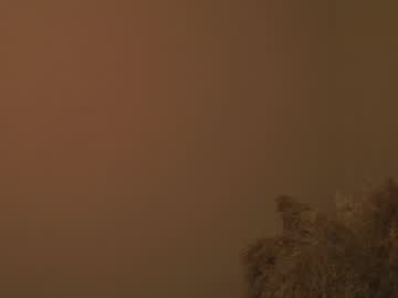 webcam girl wendy_amber image #5567269