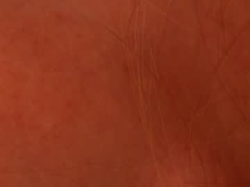 webcam girl crazyhotrussian image #6194610