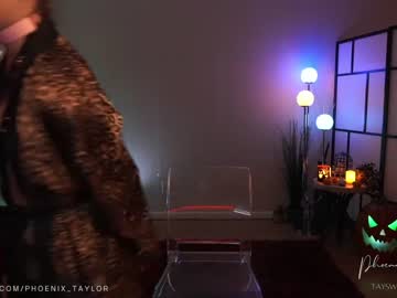 webcam girl phoenix_taylor image #5553901