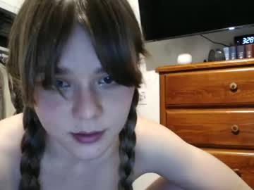 Cam for stuntsquirrel