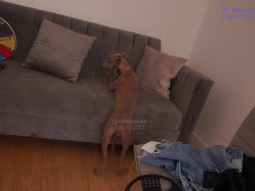 webcam girl newmollybrooke image #5616824