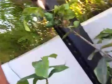 webcam girl _frankie_rivers image #4098822