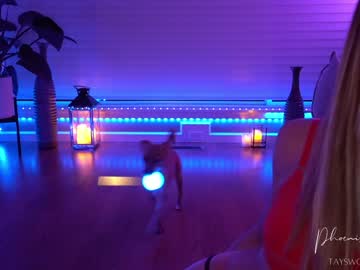 webcam girl phoenix_taylor image #1053740