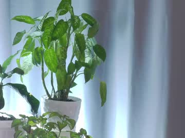 webcam girl katrin_sweeft image #4834302