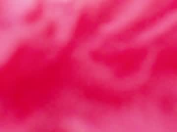 webcam girl maaarynip image #129623