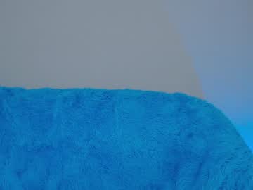 webcam girl kittycat_meoow image #2003904