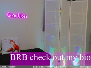 webcam girl foxy_gamer image #2409794