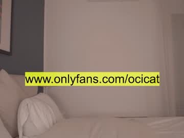 webcam girl ocicat image #2998159