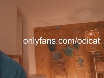 webcam girl ocicat image #4978955