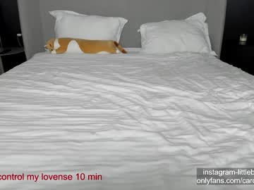 webcam girl carolinaherera image #5012075