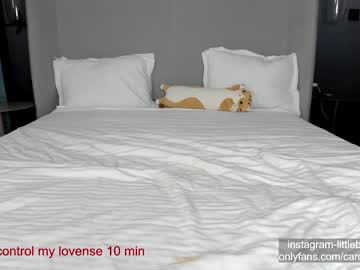 webcam girl carolinaherera image #5918502