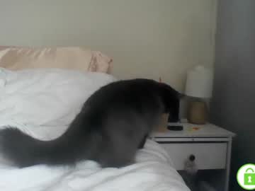 webcam couple bfngfadventures image #3647098
