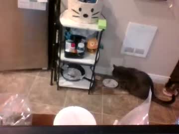 webcam girl kimi_sins image #3882320