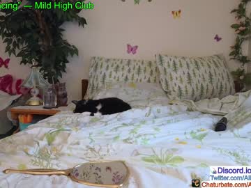 webcam girl aliceriverscam image #4877131