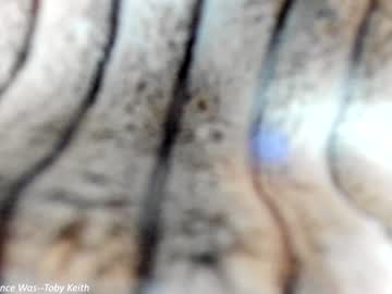 webcam girl x_lily_x image #6176863
