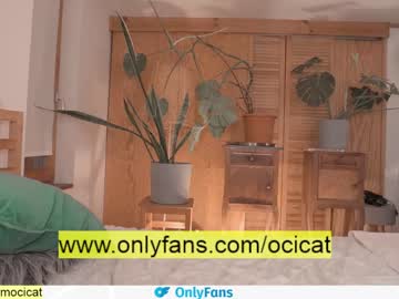 webcam girl ocicat image #2437629