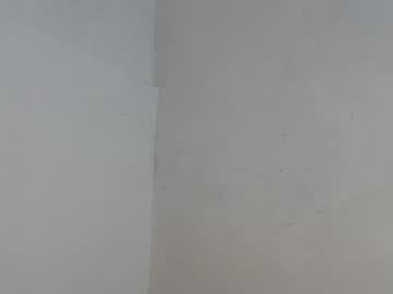 webcam couple jeangreybianca image #1180138