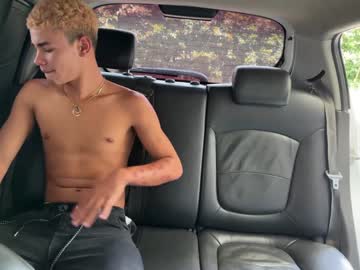 webcam man car_secrets image #4118561