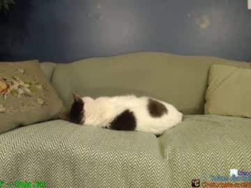 webcam girl aliceriverscam image #2085304