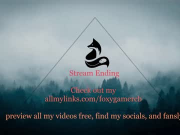 webcam girl foxy_gamer image #5562784