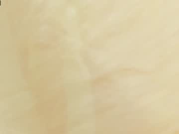 webcam girl linapearl image #4631886