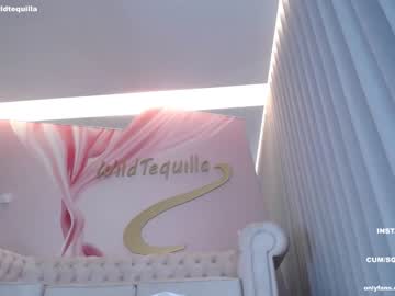 webcam girl wildtequilla image #4292550