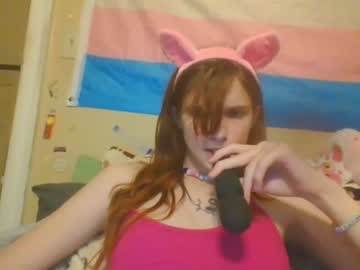 webcam tranny deformedpiggirl image #378948