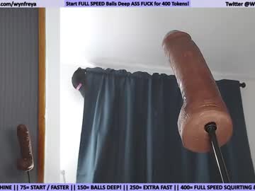 webcam girl wynfreya image #4038359
