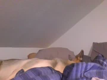 webcam girl rosegold18 image #6246700