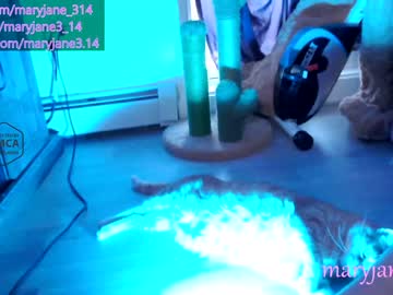 webcam girl maryjane_314 image #2395040