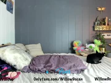 webcam girl willowdeean image #306570