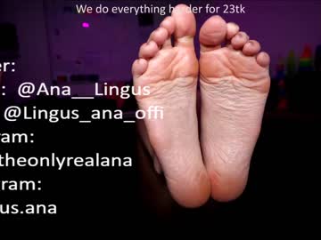 webcam couple ana__lingus image #2867374