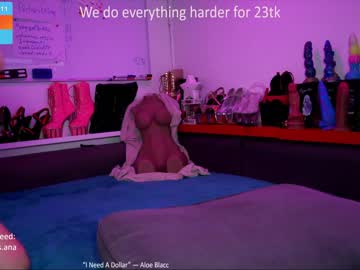 webcam couple ana__lingus image #4469715