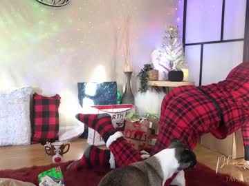 webcam girl phoenix_taylor image #5982478