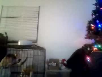 webcam girl becklex image #3350818