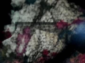 webcam girl carliescott_meow image #1907542