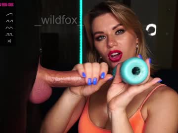 webcam couple _wildfox_ image #3060584