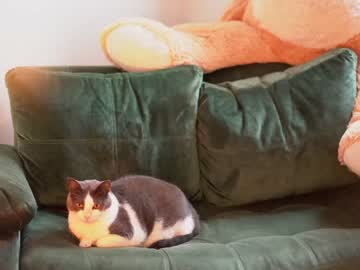 webcam girl winona__ image #1452497