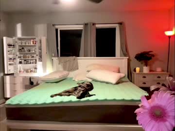 webcam girl kaileeshy image #4857878