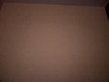 webcam couple shiroandviduka image #1350264
