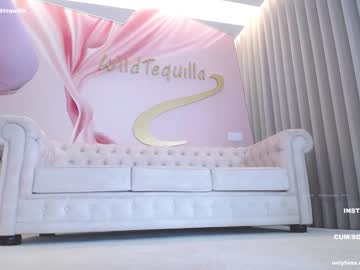 webcam girl wildtequilla image #5036129