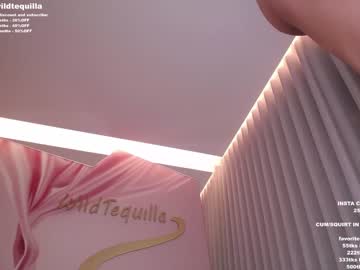 webcam girl wildtequilla image #3498806